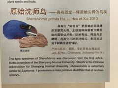 -辽宁古生物博物馆