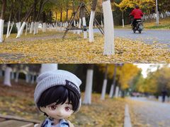 -长白岛森林公园