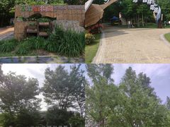 -同里国家湿地公园