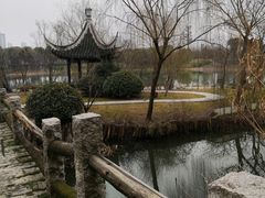 -尚贤河湿地