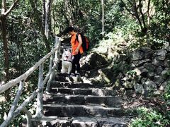 -龙湾潭国家森林公园