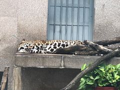-西安秦岭野生动物园