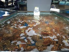 -盒马鲜生(杭州运河上街店)