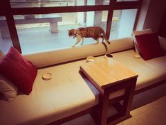 -南京夜泊秦淮君亭酒店·金陵书画院