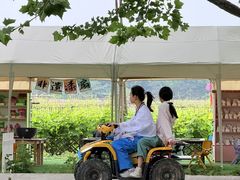 -圣露庄园·露营·烤肉·亲子