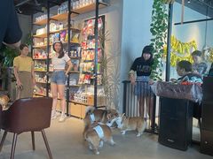 等位区-百好乐宠物友好餐厅(朝外大街店)