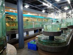 水产区-君豪大酒店-东海渔村中餐厅