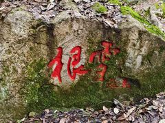 -秦岭终南山世界地质公园翠华山景区