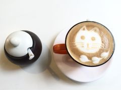 Anne猫窝咖啡屋-Anne猫窝咖啡屋