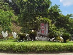 -广州白江湖森林公园