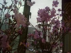 -金陵科技学院（幕府校区）食堂