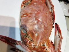 -日月昇渔家菜·海肠捞饭·大连海鲜(星海公园店)