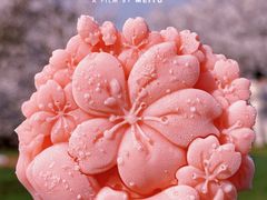 -上海辰山植物园