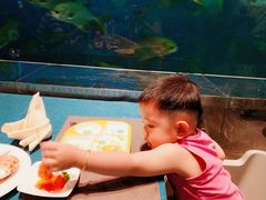 -瑞德姆美人鱼海底演艺主题餐厅(亚龙湾店)