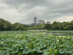 -长春市南湖公园