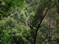 -清迈丛林飞跃 JungleFlight