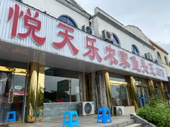 -天乐农家鱼头王(天目湖店)