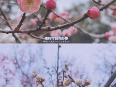 -无锡梅园公园