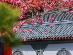 -皇罗禅寺