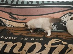 -梧桐巷咖啡厅·coffee&bar