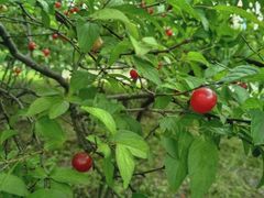 -白塘生态植物园