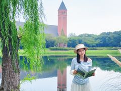 -贡湖湾湿地公园