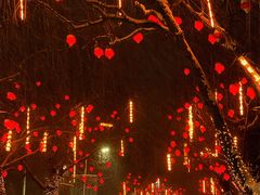 -瀛海足球主题公园