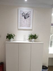 -SILKTONE诗丽堂美容