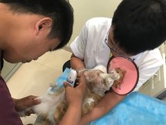 -美迦爱-牙专科·兔科·骨科诊疗中心(北苑店)