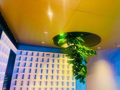 -顺德佬·宴请·生日宴(西乡店)