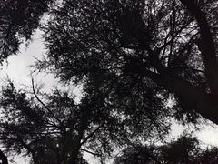 -红山森林动物园