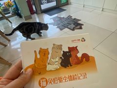 -纳吉亚猫专科动物医院博雅分院