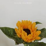 雨霖花集 | 向往的幸福生活里住着向日葵