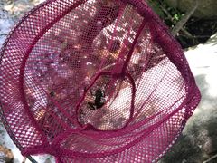 -碓臼峪自然风景区