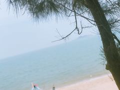 -马銮湾景区