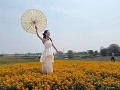 -江苏三台山国家森林公园