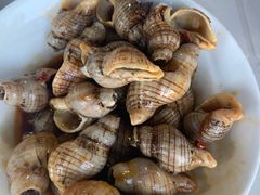 -胖大嫂渔家排档·全海景餐厅(渔村店)