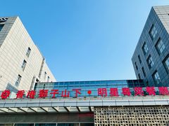 -香港狮子山下·明星粤菜餐厅(北苑店)