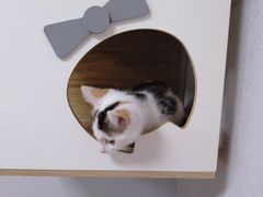 -联合动物医院(光谷诊疗中心)