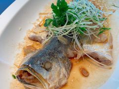 冬菜蒸东海大黄鱼-顺峰(农展馆店)