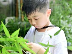 -都江堰中华大熊猫苑