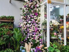 -FEI FEI FLOWER鲜花店·气球派对·宝宝宴布置(虹口德必运动Loft店)
