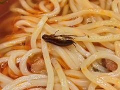 -眉州东坡(春秀路店)