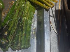 -鲁C·尚小炉·淄博烧烤(市北店)