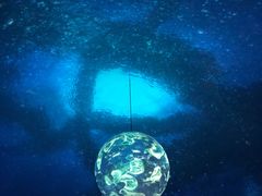 -上海海昌海洋公园-停车场