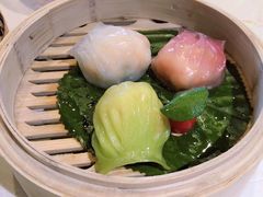 -点都德·毕德寮