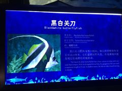 -福州罗源湾海洋世界旅游区