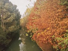 -同里国家湿地公园