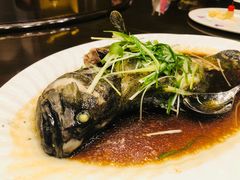 -富丽华大酒店·御园中餐厅(茶亭路店)