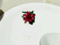 -海底捞火锅(泉城路店)